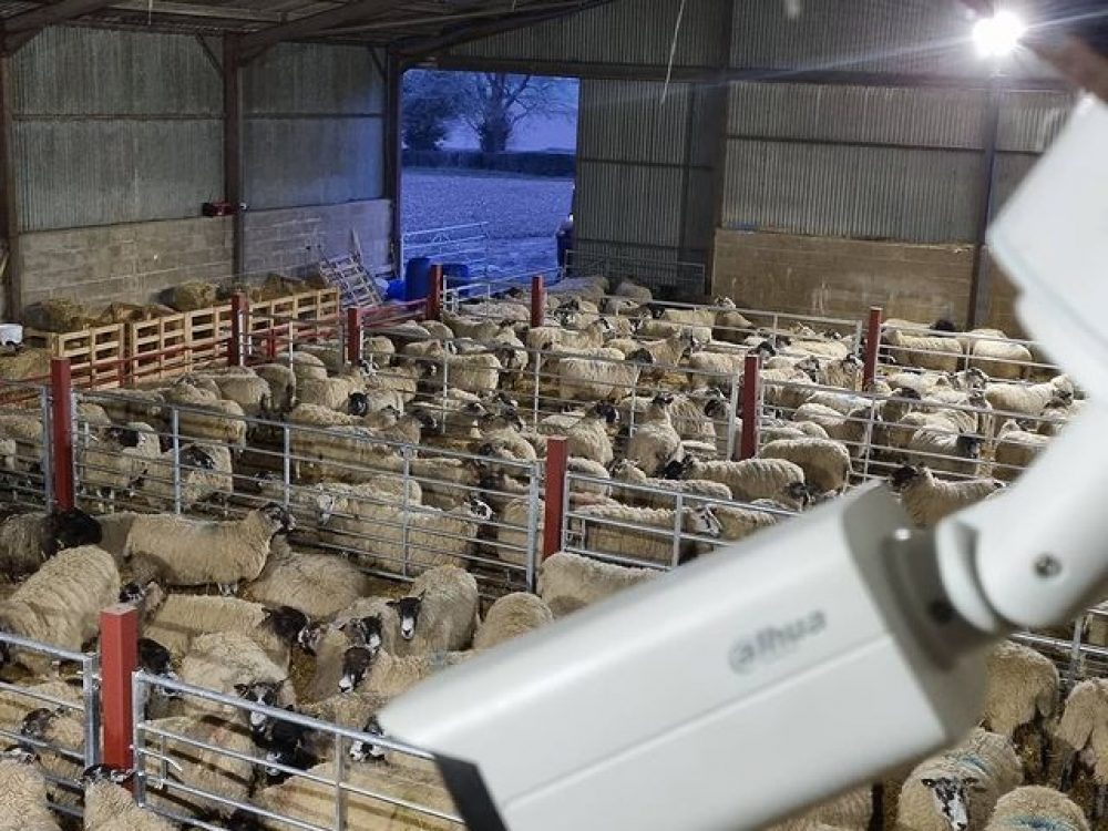 CCTV and Farm Security